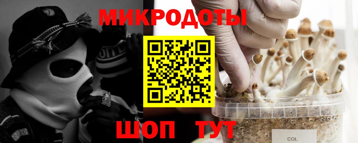 Дербент  Псилоцибиновые грибы Magic Shrooms  Псилоцибиновые грибы мухоморы  Вход с VPN 